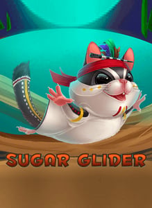 Sugar Glider